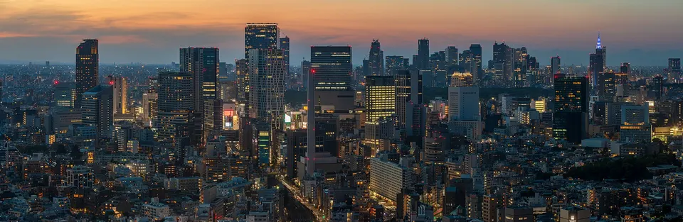 The Tokyo skyline