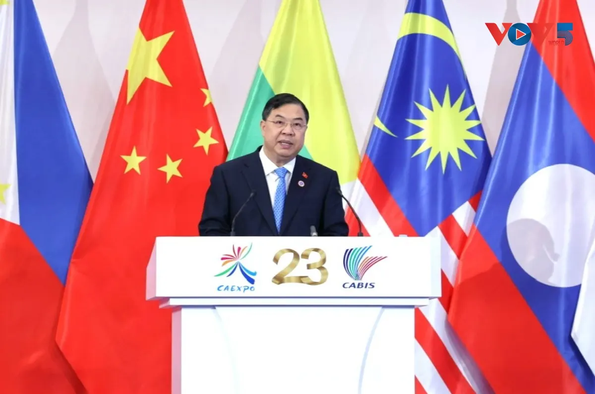 The Vietnamese Deputy PM warned ASEAN about fragmentation and the warning is a positioning invitation