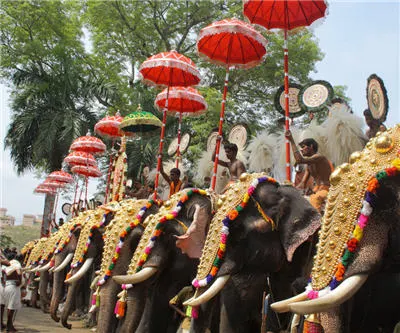 Elephants decorated with gold ornaments at a festival in India